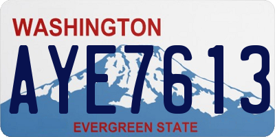 WA license plate AYE7613