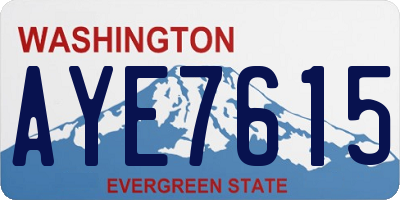 WA license plate AYE7615