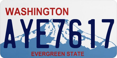 WA license plate AYE7617