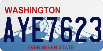 WA license plate AYE7623