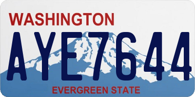 WA license plate AYE7644