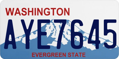 WA license plate AYE7645