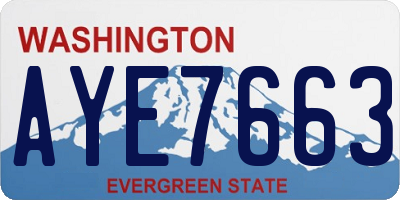 WA license plate AYE7663