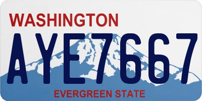 WA license plate AYE7667