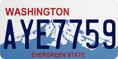 WA license plate AYE7759