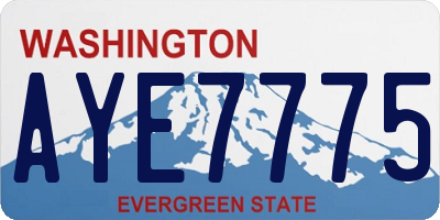 WA license plate AYE7775