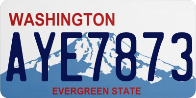 WA license plate AYE7873