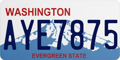 WA license plate AYE7875