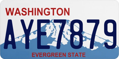 WA license plate AYE7879