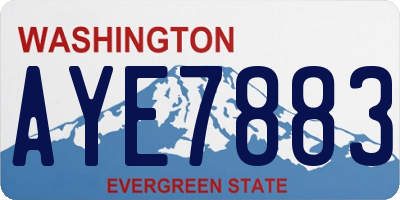WA license plate AYE7883