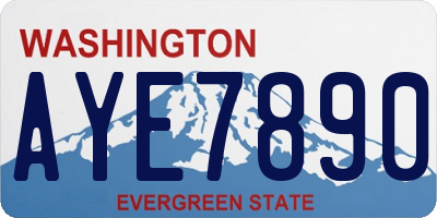 WA license plate AYE7890