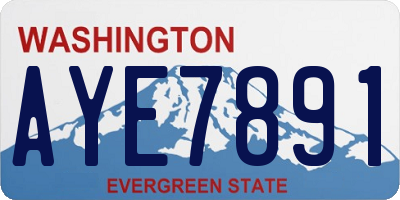 WA license plate AYE7891