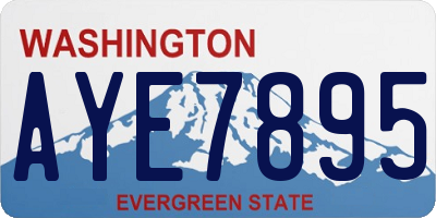 WA license plate AYE7895