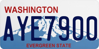 WA license plate AYE7900