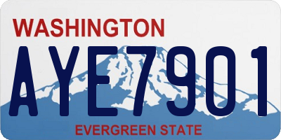 WA license plate AYE7901