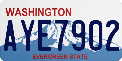 WA license plate AYE7902