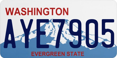 WA license plate AYE7905