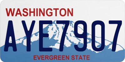 WA license plate AYE7907