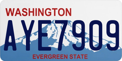 WA license plate AYE7909