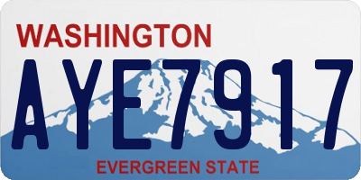 WA license plate AYE7917