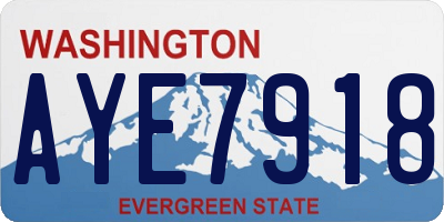 WA license plate AYE7918