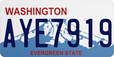 WA license plate AYE7919