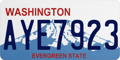 WA license plate AYE7923