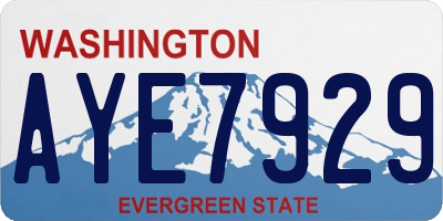 WA license plate AYE7929