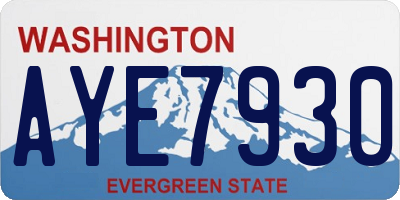 WA license plate AYE7930