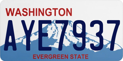 WA license plate AYE7937