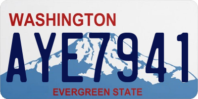 WA license plate AYE7941