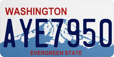 WA license plate AYE7950