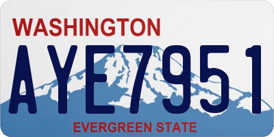 WA license plate AYE7951