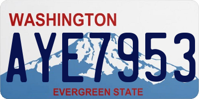 WA license plate AYE7953