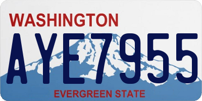 WA license plate AYE7955