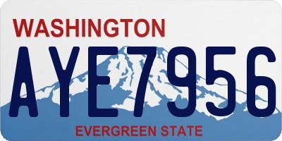 WA license plate AYE7956