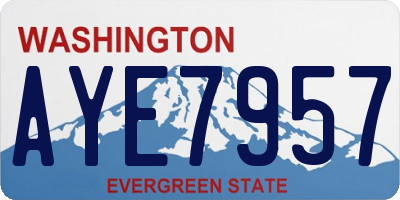 WA license plate AYE7957