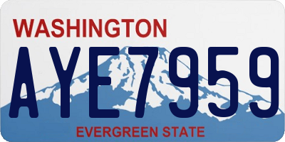 WA license plate AYE7959