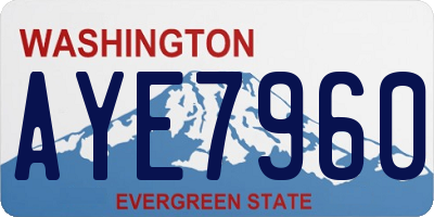 WA license plate AYE7960