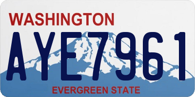 WA license plate AYE7961