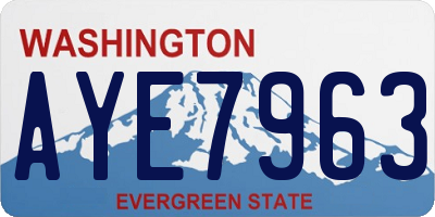 WA license plate AYE7963