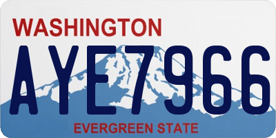 WA license plate AYE7966