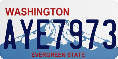 WA license plate AYE7973