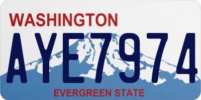 WA license plate AYE7974