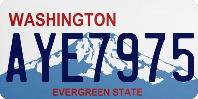 WA license plate AYE7975