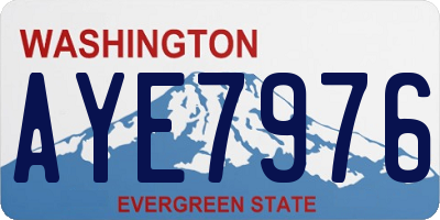 WA license plate AYE7976