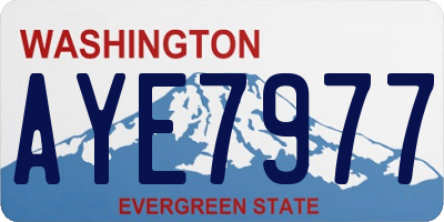 WA license plate AYE7977