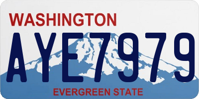 WA license plate AYE7979