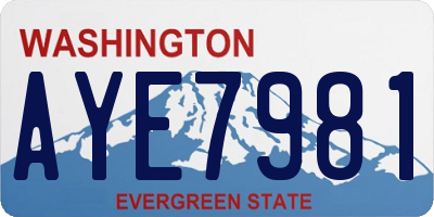 WA license plate AYE7981