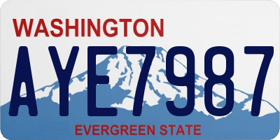 WA license plate AYE7987